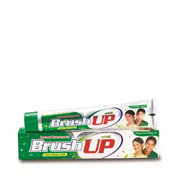 BrushUp Fresh Alpine Mint Toothpaste 100 gm