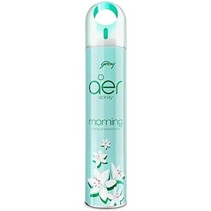 Aer Air Freshener Morning Misty 300 ml