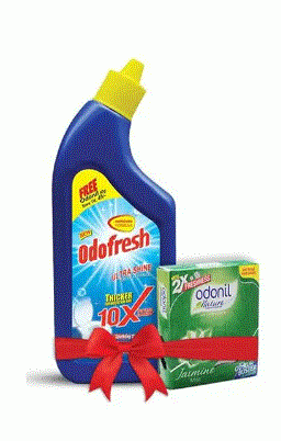 Dabur Odofresh Ultra Shine Toilet Cleaner 500 ml