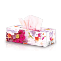 Bashundhara Facial Tissue 100x2 Sheet