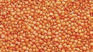 LOCAL MUSURER DAL  মসুর ডাল  500 GM