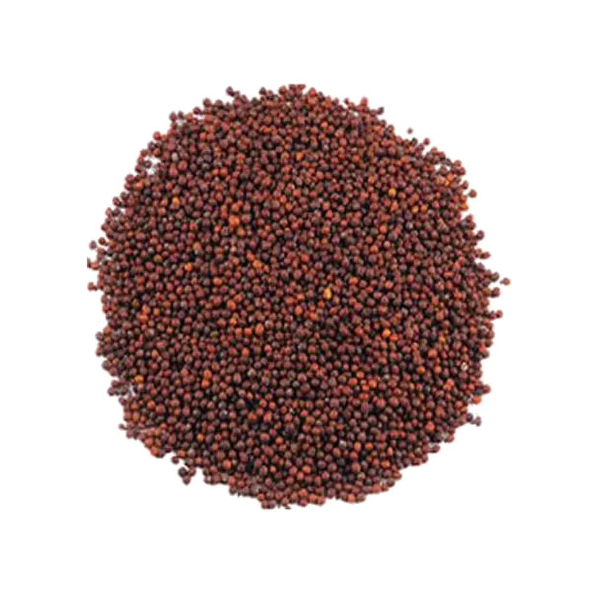 Red Mustard Seed (Sarisa Dana) 50gm